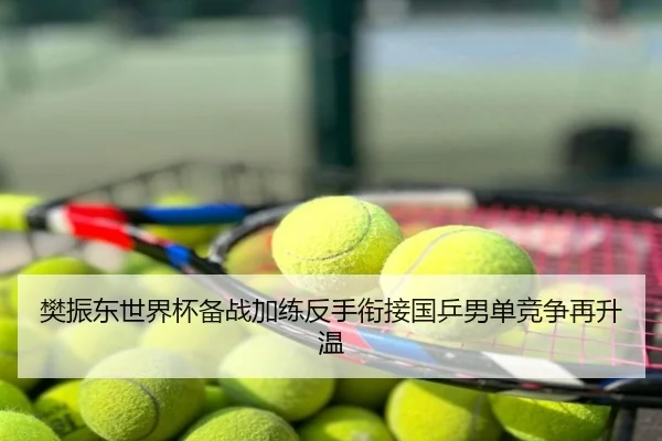 樊振东世界杯备战加练反手衔接国乒男单竞争再升温