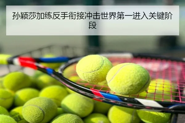 孙颖莎加练反手衔接冲击世界第一进入关键阶段