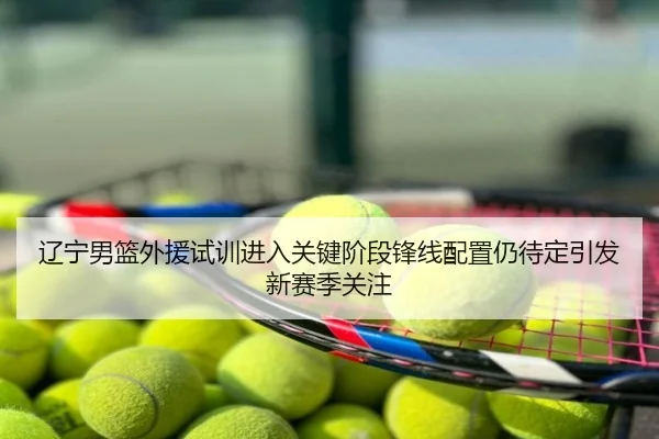 辽宁男篮外援试训进入关键阶段锋线配置仍待定引发新赛季关注