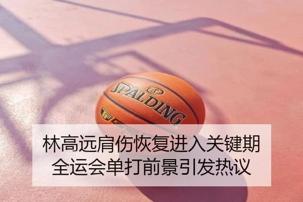 林高远肩伤恢复进入关键期 全运会单打前景引发热议